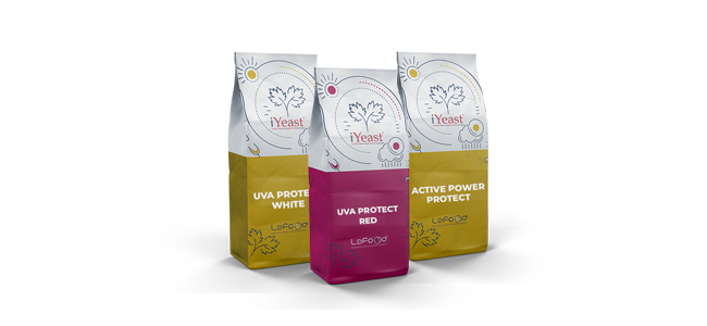 Wine product -  Protect